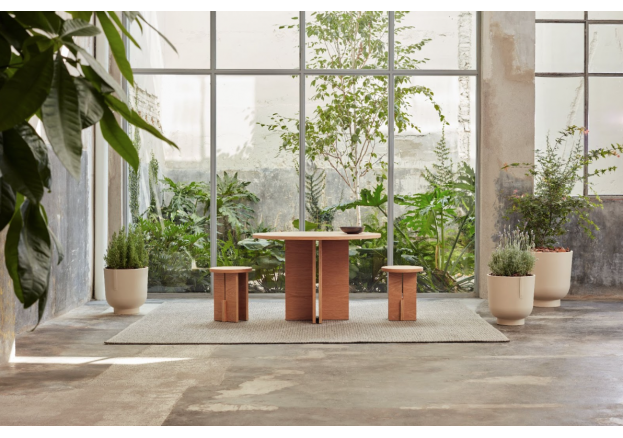 Cómo elegir la planta perfecta según la luz de tu espacio