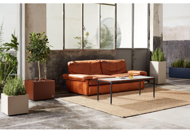 ¿Qué hacer para que tus plantas sobrevivan estas vacaciones?